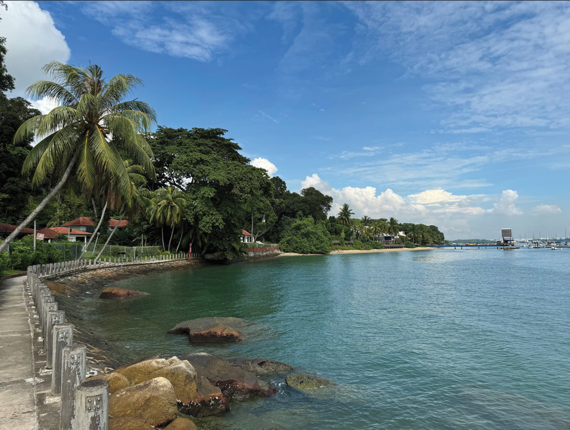 Coastal view with blue sky, palm trees, green water, and rocks along a path. Distant sailboats are visible.